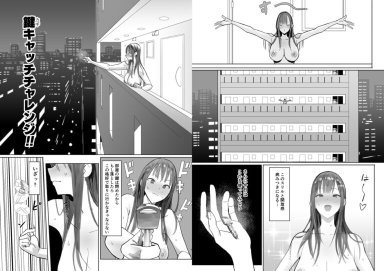 鍵キャッチチャレンジ 公式サンプル 2