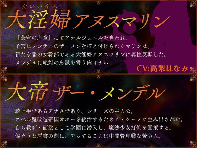 魔法少女肛虐計画 聖女の章 聖光女シスターヴァイス【KU100ハイレゾ】 公式サンプル 6
