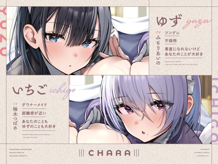 生ハメ抱き枕専用メイドの発情マ〇コ×2に生ハメしながらお寝んねしましょーね♪ 公式サンプル 1